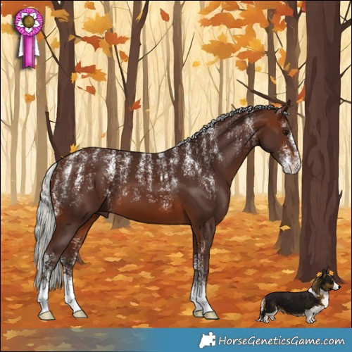 Horse Color:Powder White Silver Brown 