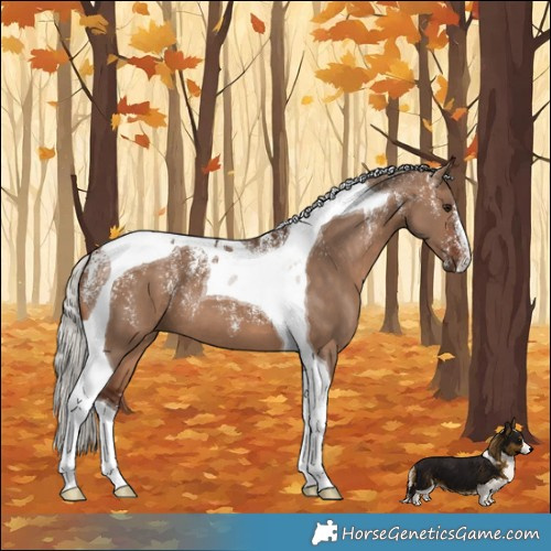 Horse Color:Powder White Silver Brown Dun Tobiano
