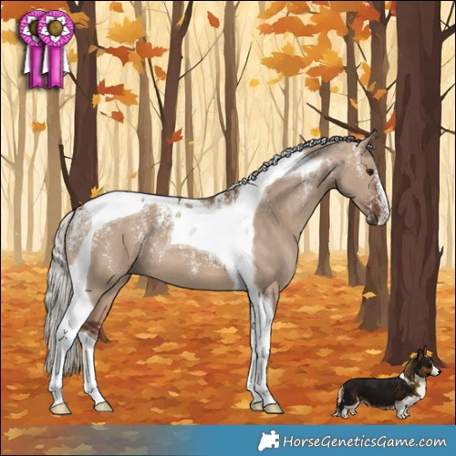 Horse Color:Powder White Silver Brown Dun Tobiano 