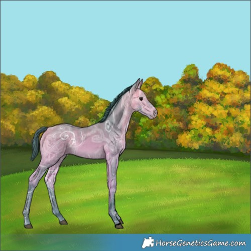 Horse Color:Watercolor Bay Ice 
