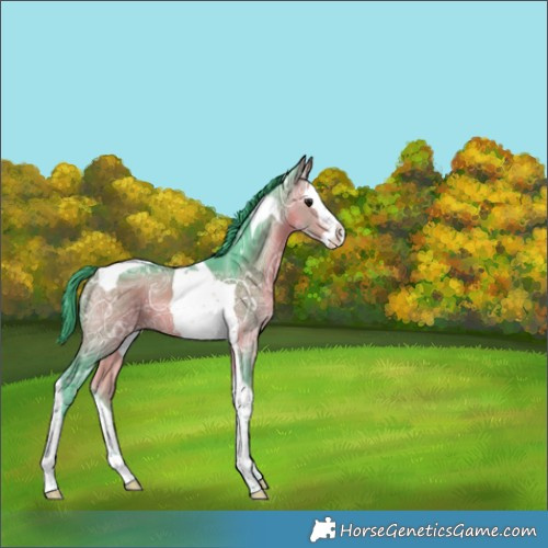 Horse Color:Watercolor Bay Ice Splash Tobiano 