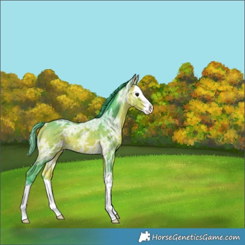 Horse Color:Watercolor Buckskin Ice Splash 
