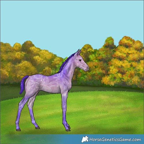 Horse Color:Watercolor Buckskin Ice 