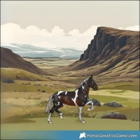 Horse Color:Gray White Spotted Silver Brown Tobiano 