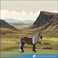 Horse Color:Gray White Spotted Silver Bay Tobiano 