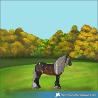 Horse Color:Gray White Spotted Silver Bay Tobiano 