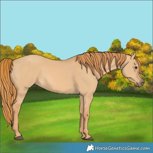 Horse Color:Red Dun 