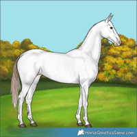 Horse Color:Bay Dun Fewspot
