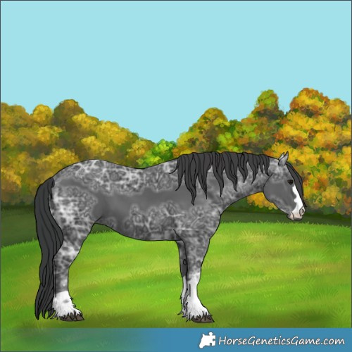 Horse Color:Black Ice 