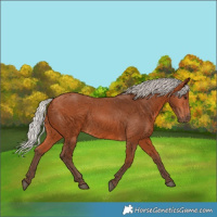 Horse Color:Silver Bay 