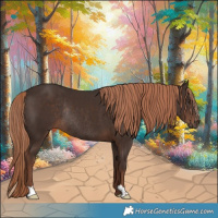Horse Color:Liver Chestnut Rabicano