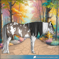 Horse Color:White Spotted Brown Dun Splash Rabicano