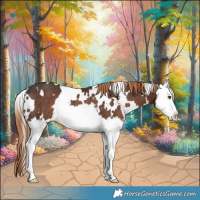 Horse Color:White Spotted Liver Chestnut Splash Rabicano 