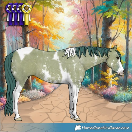 Horse Color:Watercolor Smoky Grullo Sabino Tobiano