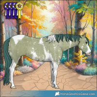 Horse Color:Watercolor Smoky Grullo Sabino Tobiano 