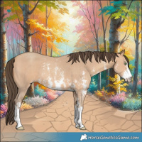 Horse Color:Amber Champagne Sabino