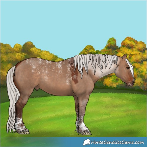 Horse Color:Powder White Silver Bay Dun Rabicano 