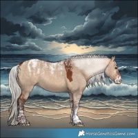 Horse Color:Powder White Silver Bay Dun Rabicano