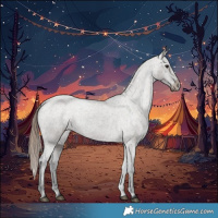 Horse Color:Grullo Varnish 