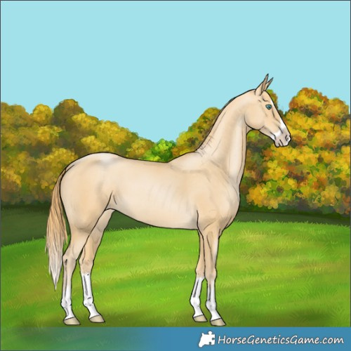 Horse Color:Smoky Black Pearl Splash 