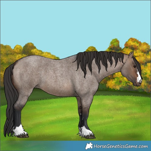 Horse Color:Brown Roan Dun 
