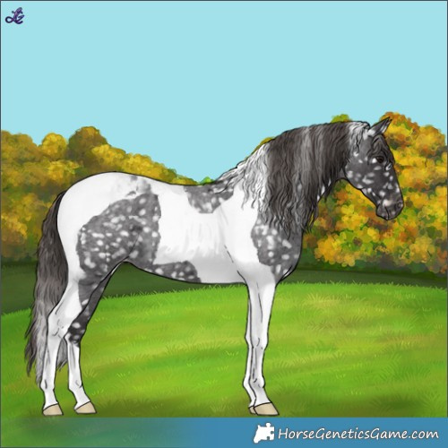 Horse Color:Smoky Blue Roan Tobiano Snowflake Varnish