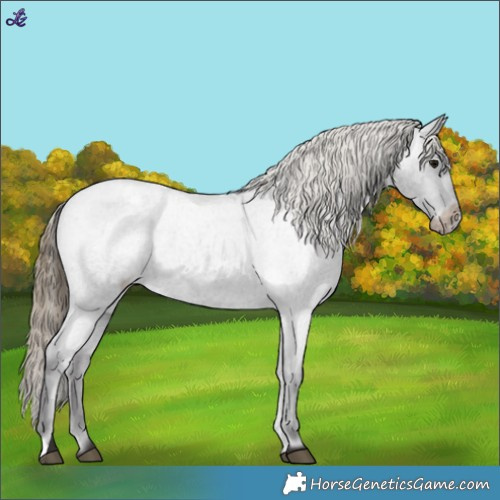 Horse Color:Smoky Blue Roan Varnish 