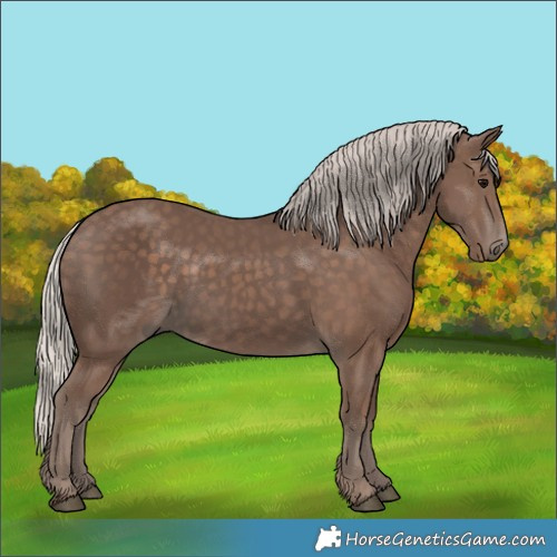 Horse Color:Silver Black 
