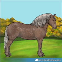 Horse Color:Silver Black 