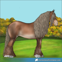 Horse Color:Gray Liver Chestnut Pearl Mushroom 