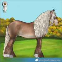 Horse Color:Gray Liver Chestnut Pearl Mushroom Rabicano