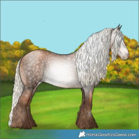 Horse Color:Gray Liver Chestnut Pearl Mushroom
