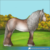 Horse Color:Gray Liver Chestnut Pearl Mushroom 