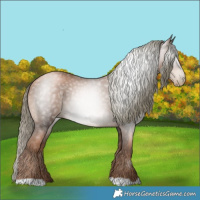 Horse Color:Gray Liver Chestnut Pearl Mushroom 