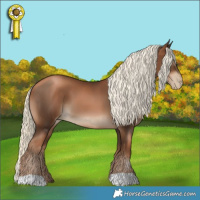 Horse Color:Gray Liver Chestnut Pearl Mushroom 