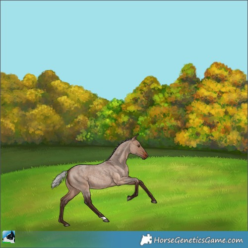 Horse Color:Silver Brown Roan Dun Rabicano 