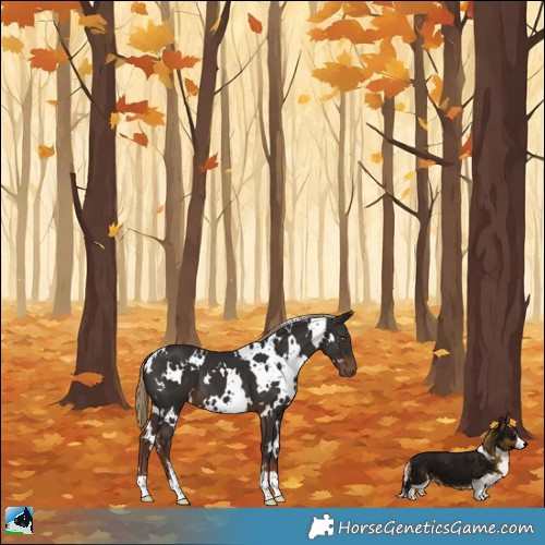 Horse Color:White Spotted Liver Chestnut 