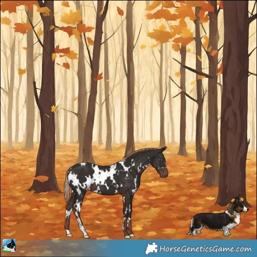 Horse Color:White Spotted Liver Chestnut 