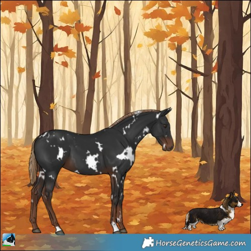 Horse Color:White Spotted Liver Chestnut 