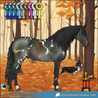 Horse Color:White Spotted Brown Rabicano