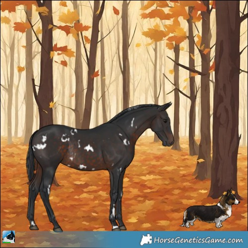 Horse Color:White Spotted Brown Rabicano 
