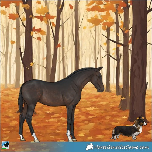 Horse Color:Brown 