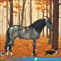 Horse Color:White Spotted Black
