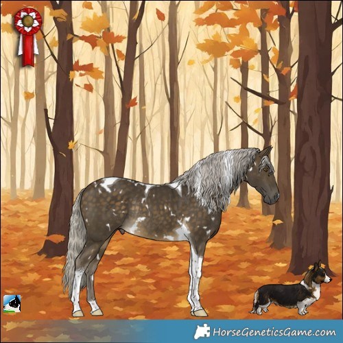Horse Color:White Spotted Silver Buckskin Tobiano Rabicano 