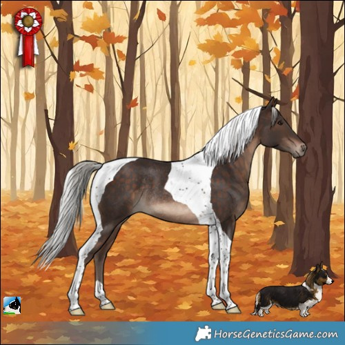 Horse Color:Silver Brown Tobiano Rabicano 