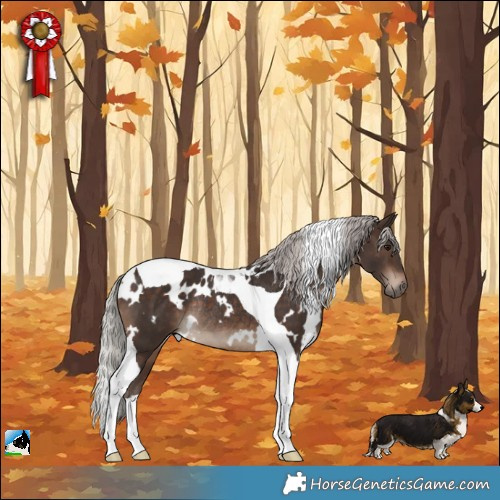 Horse Color:White Spotted Silver Brown Tobiano Rabicano 