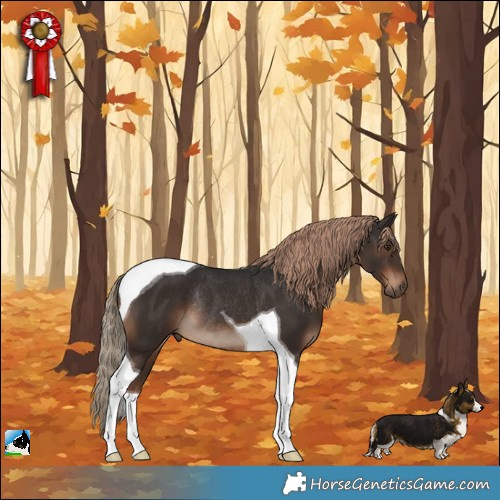 Horse Color:Liver Chestnut Tobiano Rabicano 