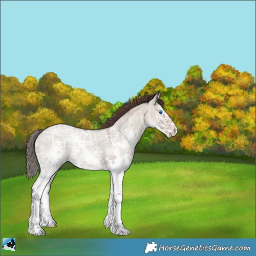 Horse Color:Classic Champagne Ice Dun Sabino Splash 