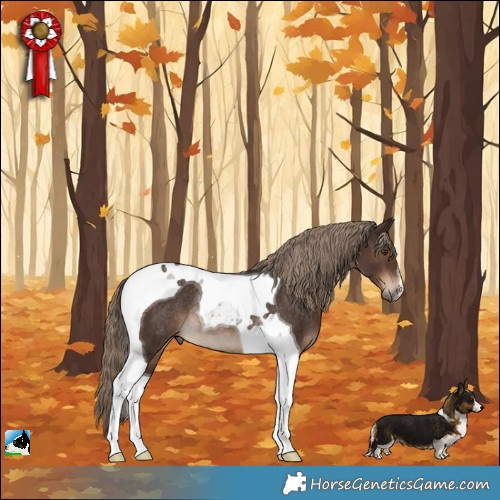 Horse Color:Liver Chestnut Tobiano Rabicano 