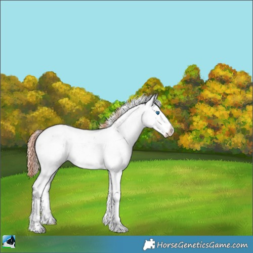 Horse Color:Liver Red Dun Ice Sabino Splash 